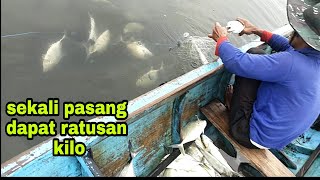 TECHNIQUES FOR FISHING FISH ONE PAIR GET HUNDREDS OF KILO