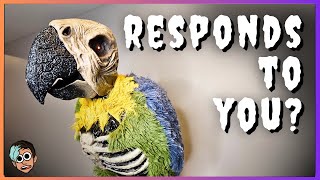 👻Home Depot - Rotwing Parrot Unboxing/Setup!🎃