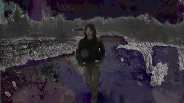 Shady Groves // Pixelation // Official Video