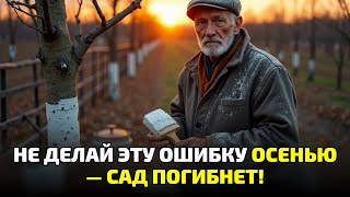 картинка: Поздняя побелка убивает деревья: как сад теряет урожай уже зимой