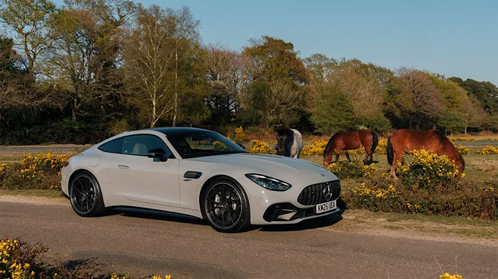 No more V8 ?! - 2025 Mercedes-Benz AMG GT 43