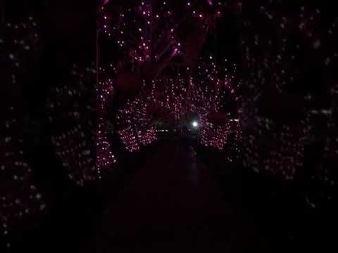 قلوب مضيئة في حدائق الصين