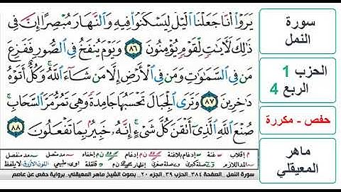 سورة النمل - الحزب 1 - الربع 4 والاخير- حفص - ماهر المعيقلي - مكررة