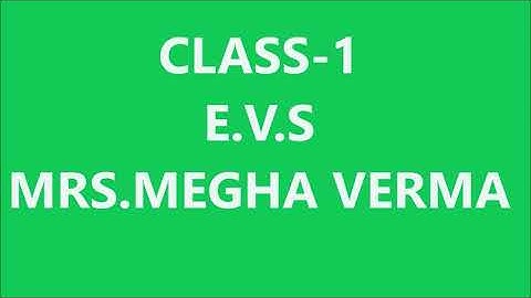 CLASS 1 E V S  CHAPTER 7