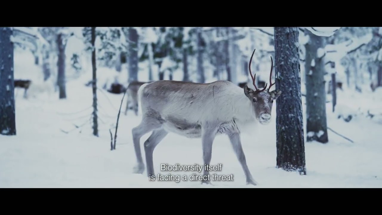 Land’s Tales  #COP16RIYADH