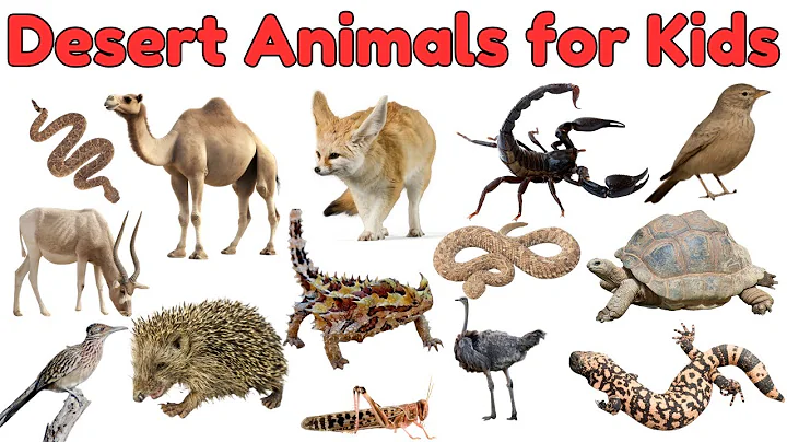 Desert Animals Vocabulary for Kids | Learn Animal Names with Pictures| Vocabulary and Learning Video thumbnail