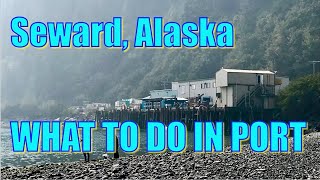 Walking in Seward, Alaska  What to Do on Your Day in Port