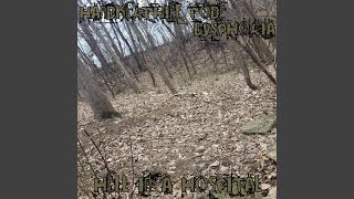 DISTRESS TOLERANCE II