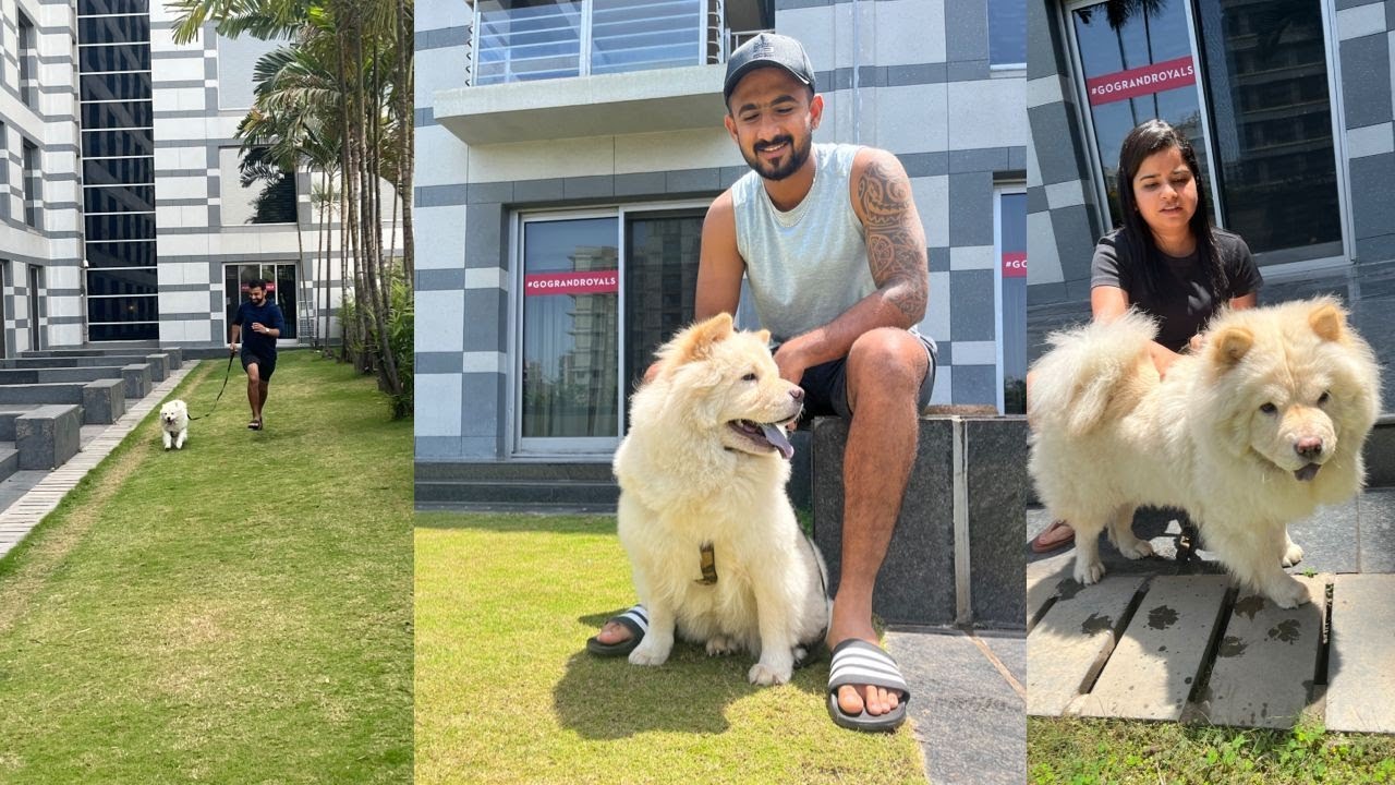 Athena visits the IPL bubble..