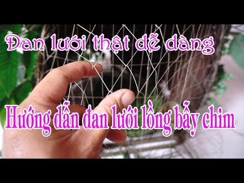 Video: Cách đan Lưới Không đều