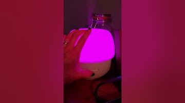 fleur-gray Scentsy diffuser❤️
