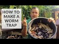 How to Make a Worm Trap to Collect Composting Worms from Your Local Environment