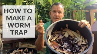 How to Make a Worm Trap to Collect Composting Worms from Your Local Environment