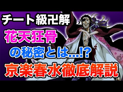 Bleach 京楽春水の卍解 花天狂骨枯松心中 の強すぎる能力とは 斬魄刀に隠された秘密を徹底解説 ブリーチキャラ紹介 Youtube