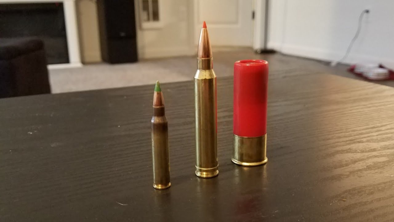 300 win mag vs 5.56 vs 12 gauge - YouTube.