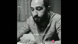 Vuqar Bileceri Anamin