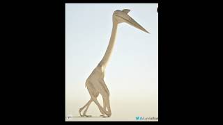 Quetzalcoatlus rigged model | prior extinction development dinosaur quetzalcoatlus prior.