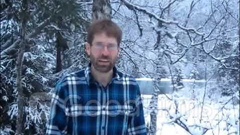 Video Review for Mobiloitte Inc