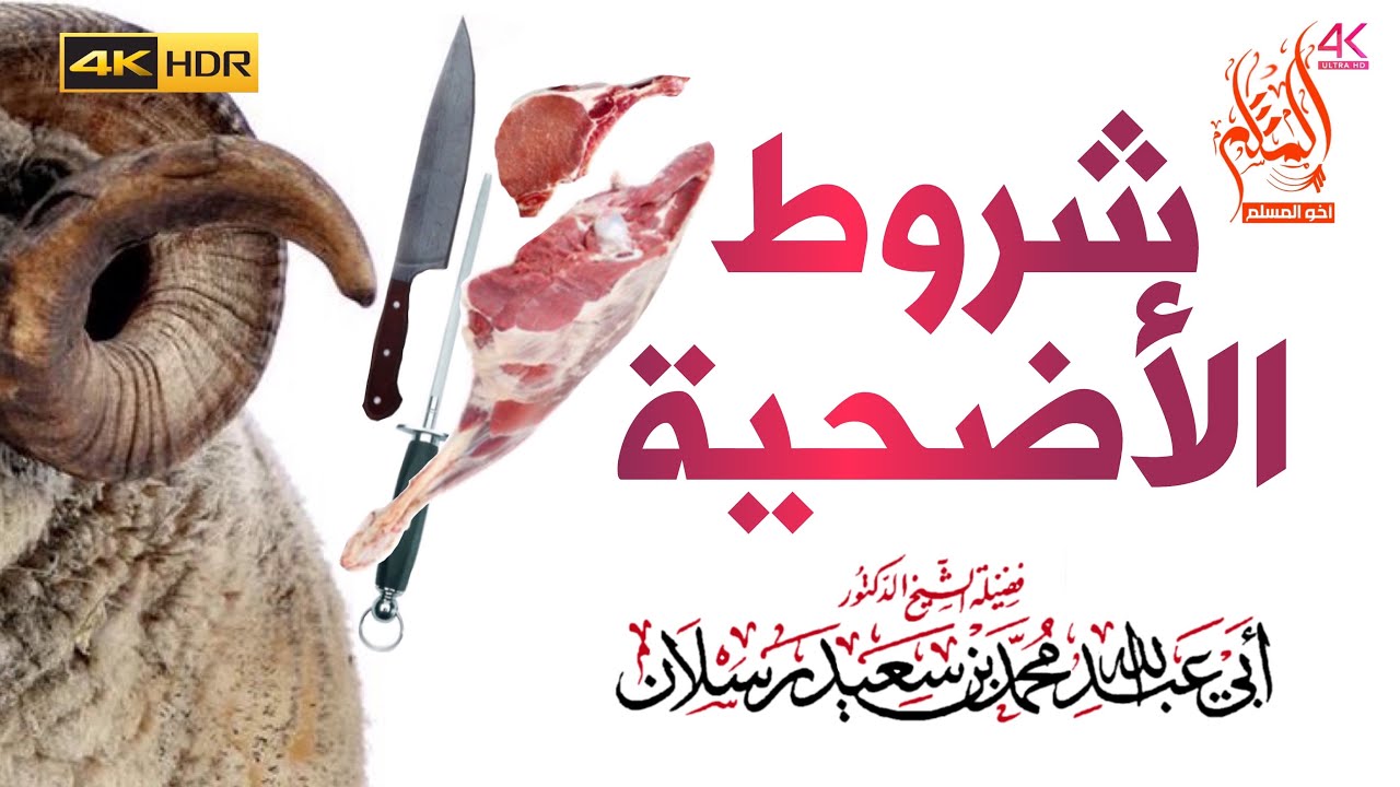 شروط الأضحية - الشيخ محمد سعيد رسلان