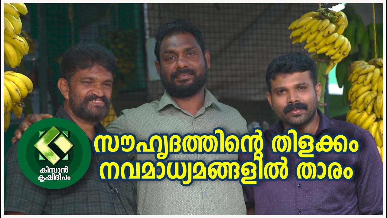 Kissan Krishideepam Episode-1147 The glittering of friendship but star in the social media