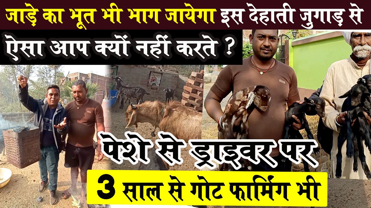 मिलए GAYA BIHAR के GOAT FARMING कर रहे बकरी पालक से🐐ठंडे में कमाल का जुगाड़ बनाया अपने बकरियों के लिए