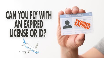 Can You Fly With An Expired License or ID? 🤔