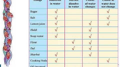 Std  4 Ch  13 A River