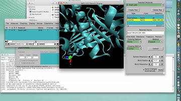 Visualization programs II: VMD Tutorial