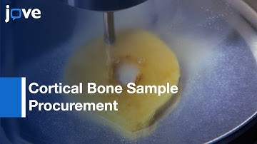 Sectioning, Coring & Image Processing Guide: Analysis For Synchrotron Micro-CT l Protocol Preview