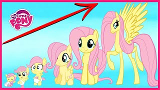 My Little Pony Characters GROWING UP Compilation 👉@WANAPlus