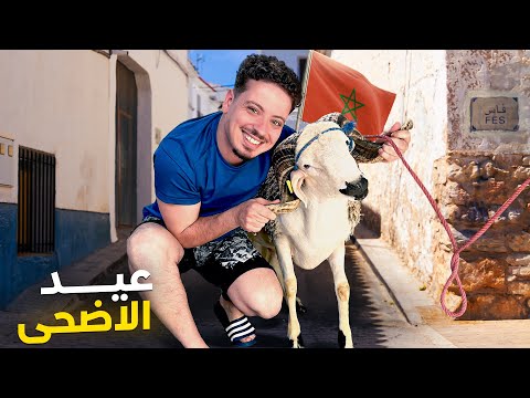 VLOG 11 | دوزت العيد الكبير فالمغرب مورا 13 سنة ديال الغربة 🇲🇦🥹🐏
