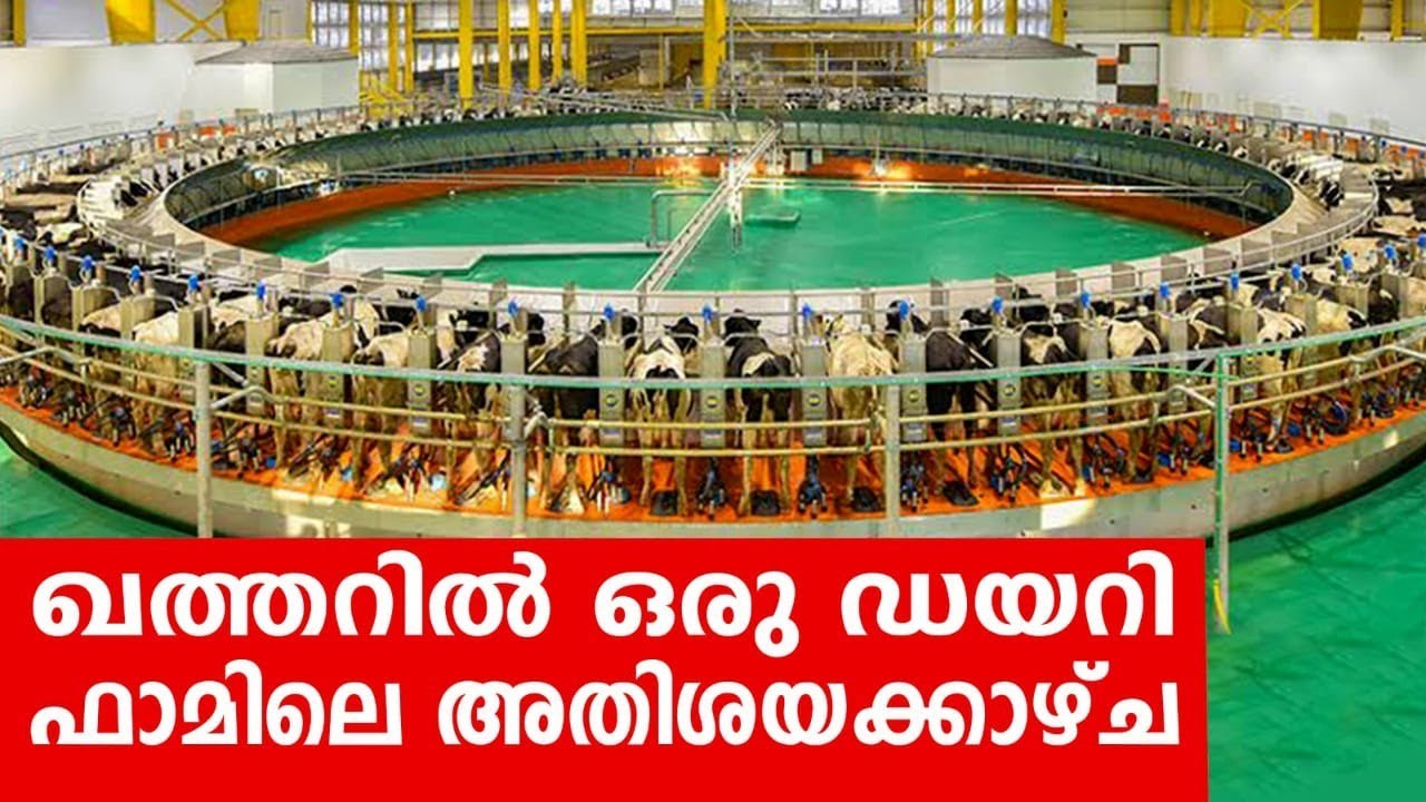 Sancharam | By Santhosh George Kulangara | Qatar 06 | Safari TV