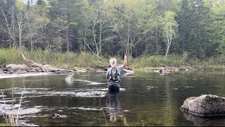 Landlocked Salmon (Dry Fly Action!)