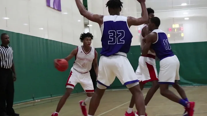 Team Wall Elite 66 Slashing Wing Cortez Marion-Hol...