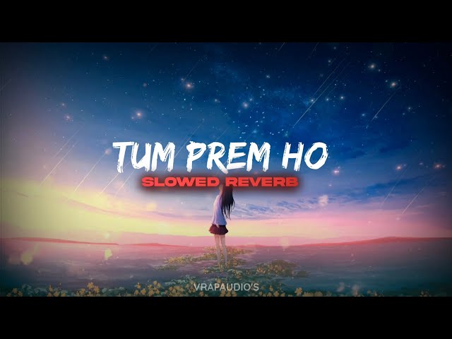 Tum Prem Ho - Reprise (Slowed + Reverb) | Radha Krishn | MOhit Lalwani | VRAPAUDIO'S class=
