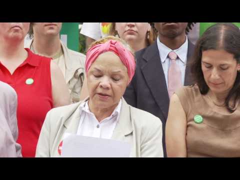 Cecile Lawrence - Green Party NY US Senate Press C...