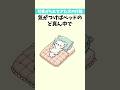 可愛がられすぎた犬がする行動③【犬雑学】#いぬのきもち #いぬのいる生活