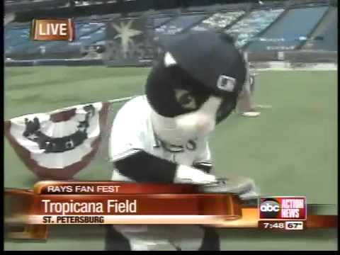 kitty tampa rays mascot