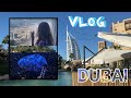 Vlog|| Прилетели в Дубаи