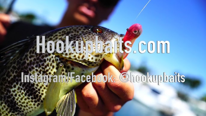 FISHING HOOKUP BAITS How to CATCH Inshore Saltwater California