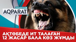 Ақтөбеде  ит талаған 12 жасар бала көз жұмды