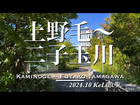 わたっちょ　2名様分 kotohayokozawa】【CONVERSE】ROADCLASSIC SS OX (MEN'S