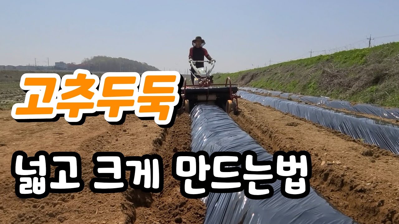 고추 두둑  넓고 높게 만드는법