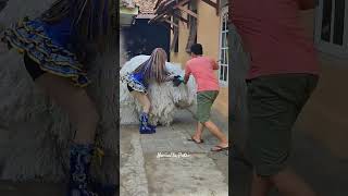 Rika dikejar2 can macanan ditolongin om kevin