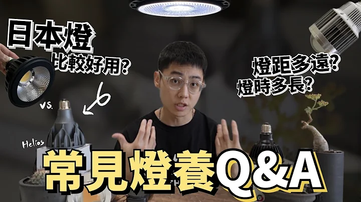 價格高真的比較好用？我推薦這幾款！燈養常見Q&A🙋🏻‍♂️燈距多遠？照燈多久？【植物燈經驗分享】 - 天天要聞