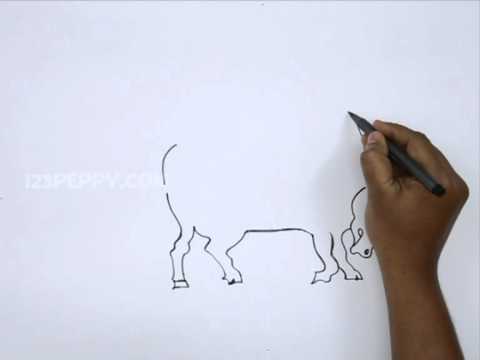 How to Draw a Bull - YouTube