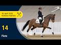 No 14 Fiete By Franklin Sandro Hit Verden Auction OnLive Spring Edition April 18 No 14 Fiete By Franklin Sandro Hit Verden Auction OnLive Spring Edition April 18