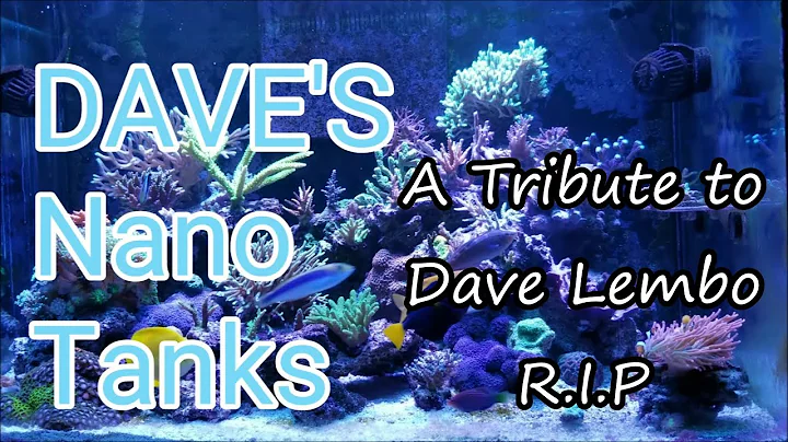 A Tribute to Dave Lembo - aka Dave's Nano Tanks - ...