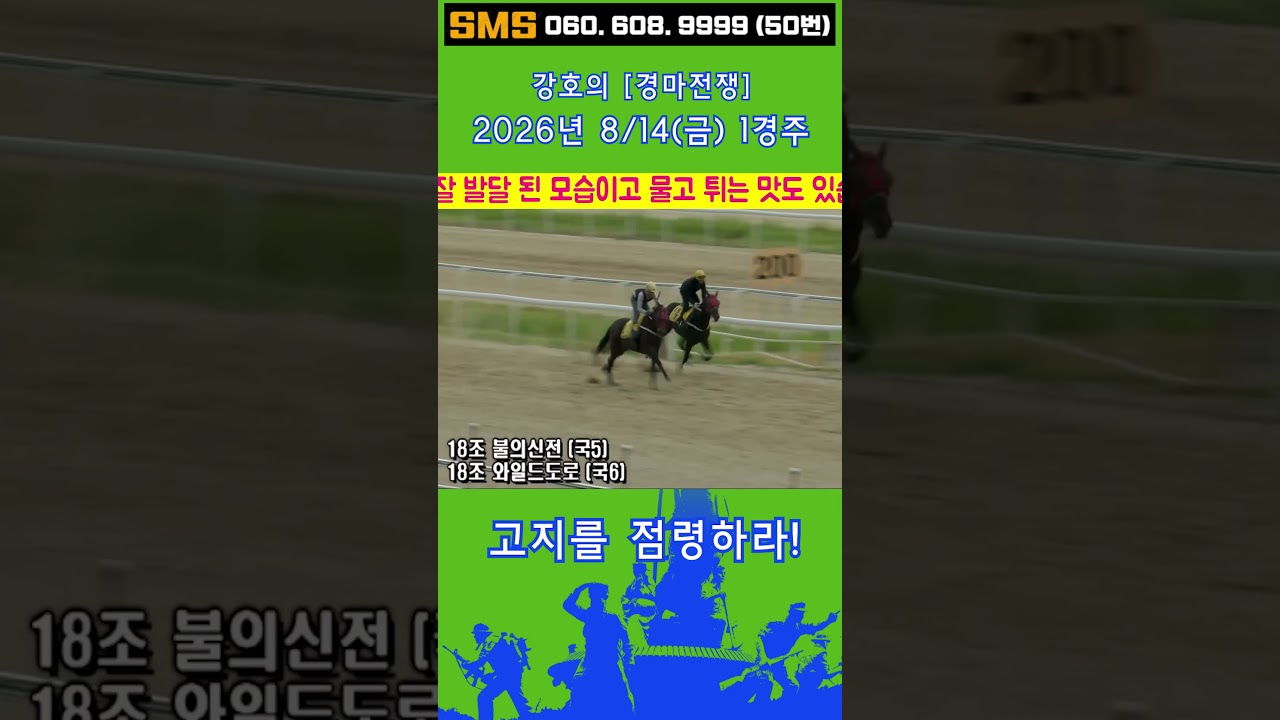 8/14(금)💣[경마전쟁 부산 1경주]  신예마[와일드도로]로 고지를 점령하라! 믿어지십니까? 이런게 한구라입니다. 🐎 인기1위에 쫄지마!
