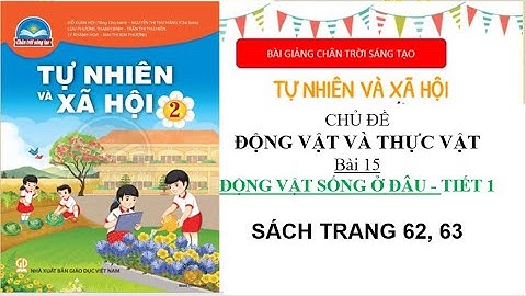 Tự nhiên và xã hội lớp 2 | bài 15 động vật sống ở đâu tiết 1 | bài giảng chân trời sáng tạo